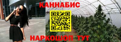 кокс Донской
