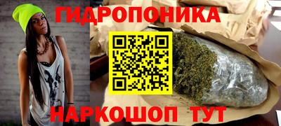 кокс Донской