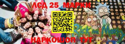 кокс Донской